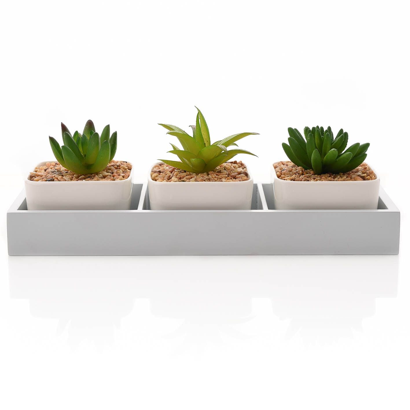 Trio of Plants in Tray 31cm