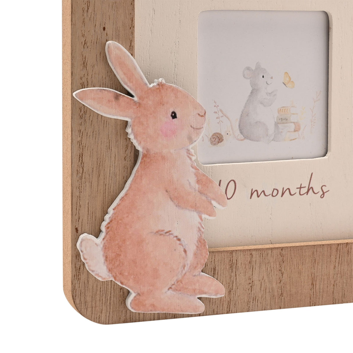 Little Roglets First Year Photo Frame