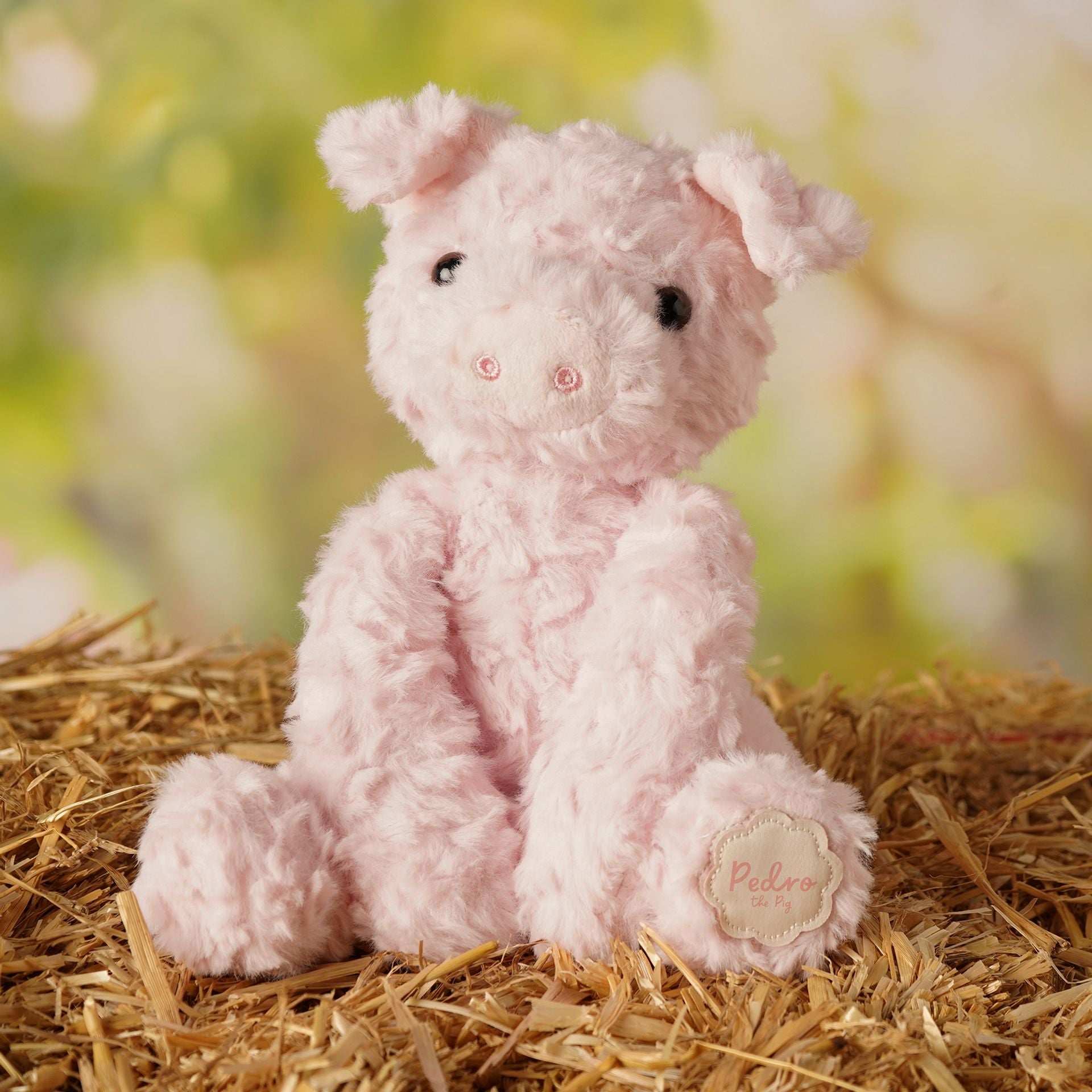 Pedro The Plush Pig 23cm