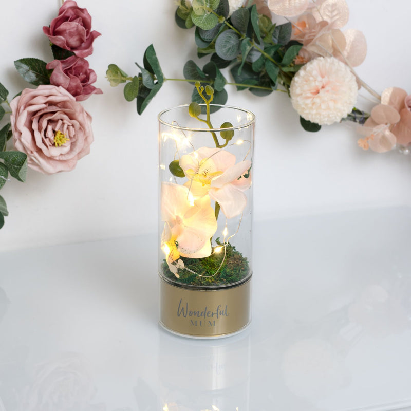 Peaches & Cream Tube Orchid Flowers & LED Light - Mum