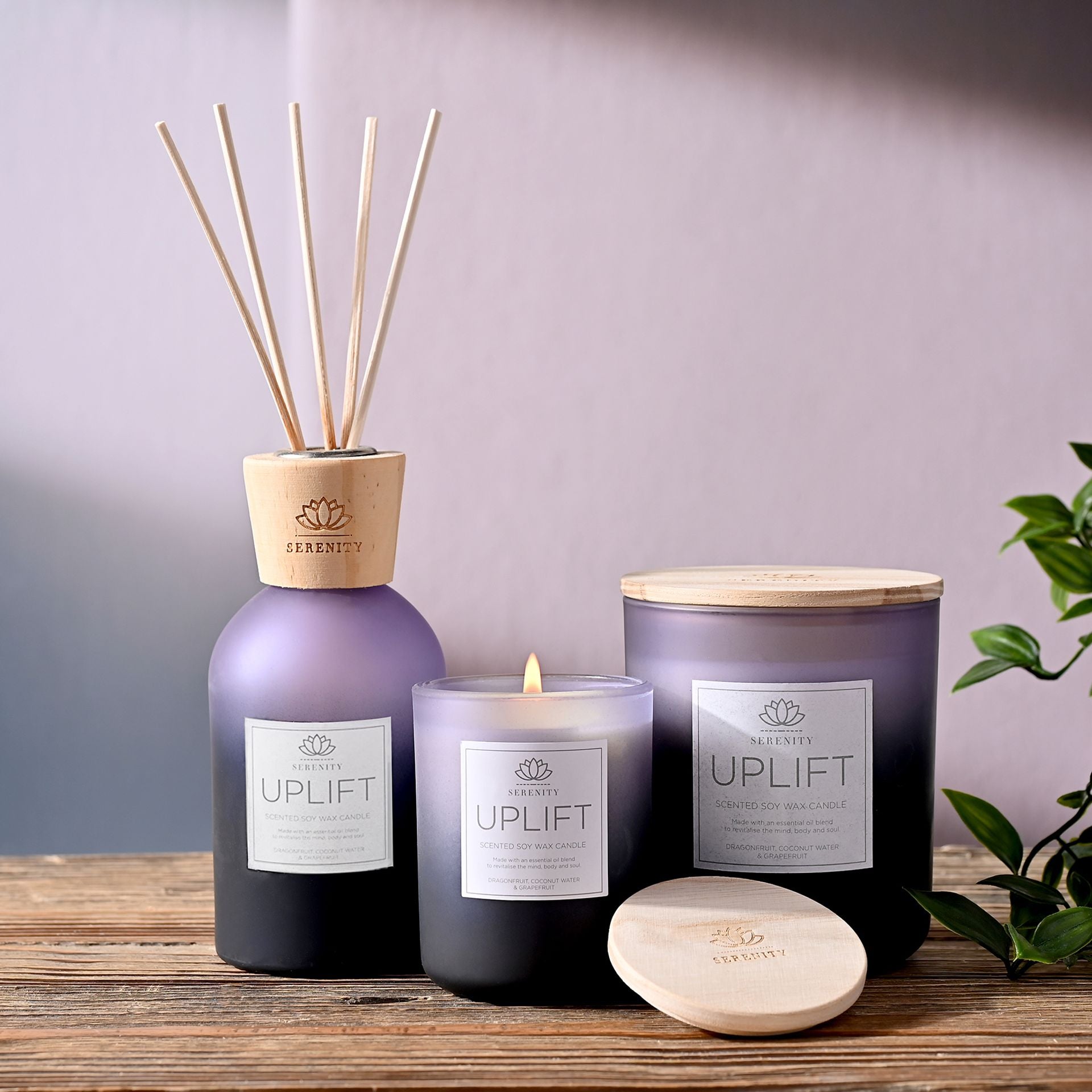 Serenity Uplift Candle 120g Dragonfruit, Coconut, Grapefruit
