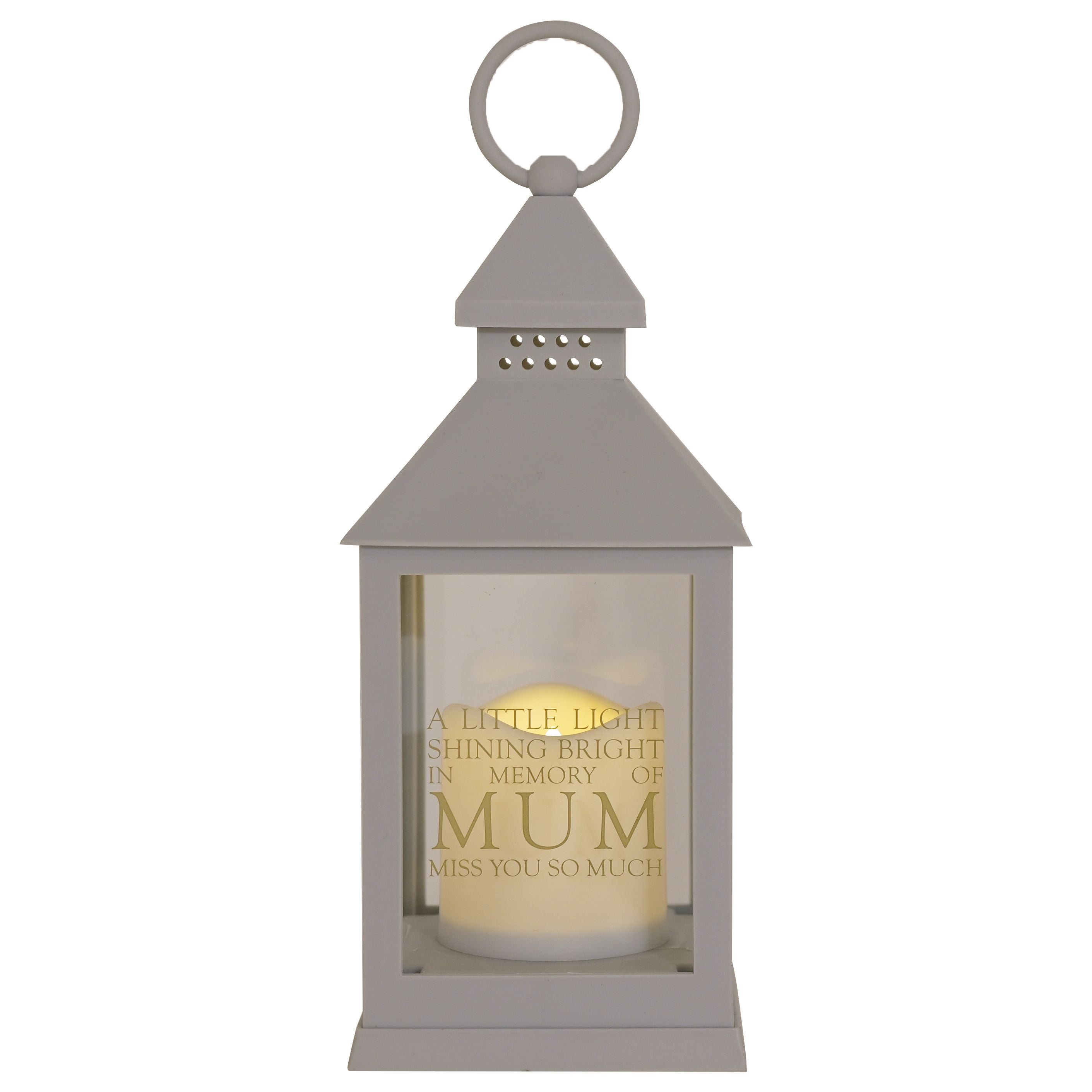 Thoughts of You Graveside Lantern Grey Mum