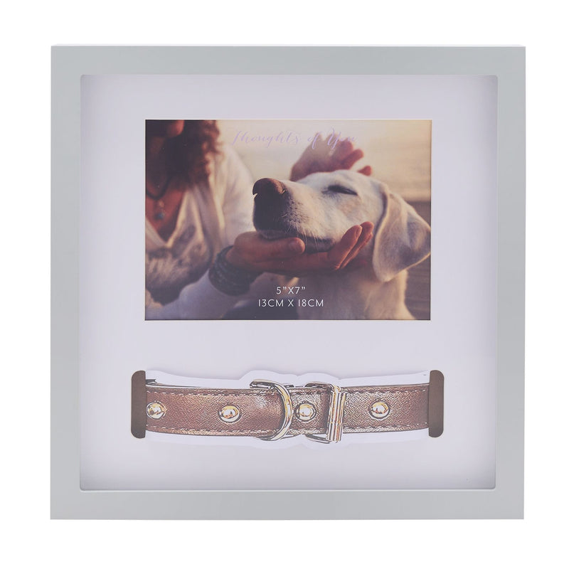 Thoughts Of You Pet Collar Frame