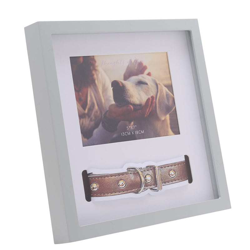 Thoughts Of You Pet Collar Frame