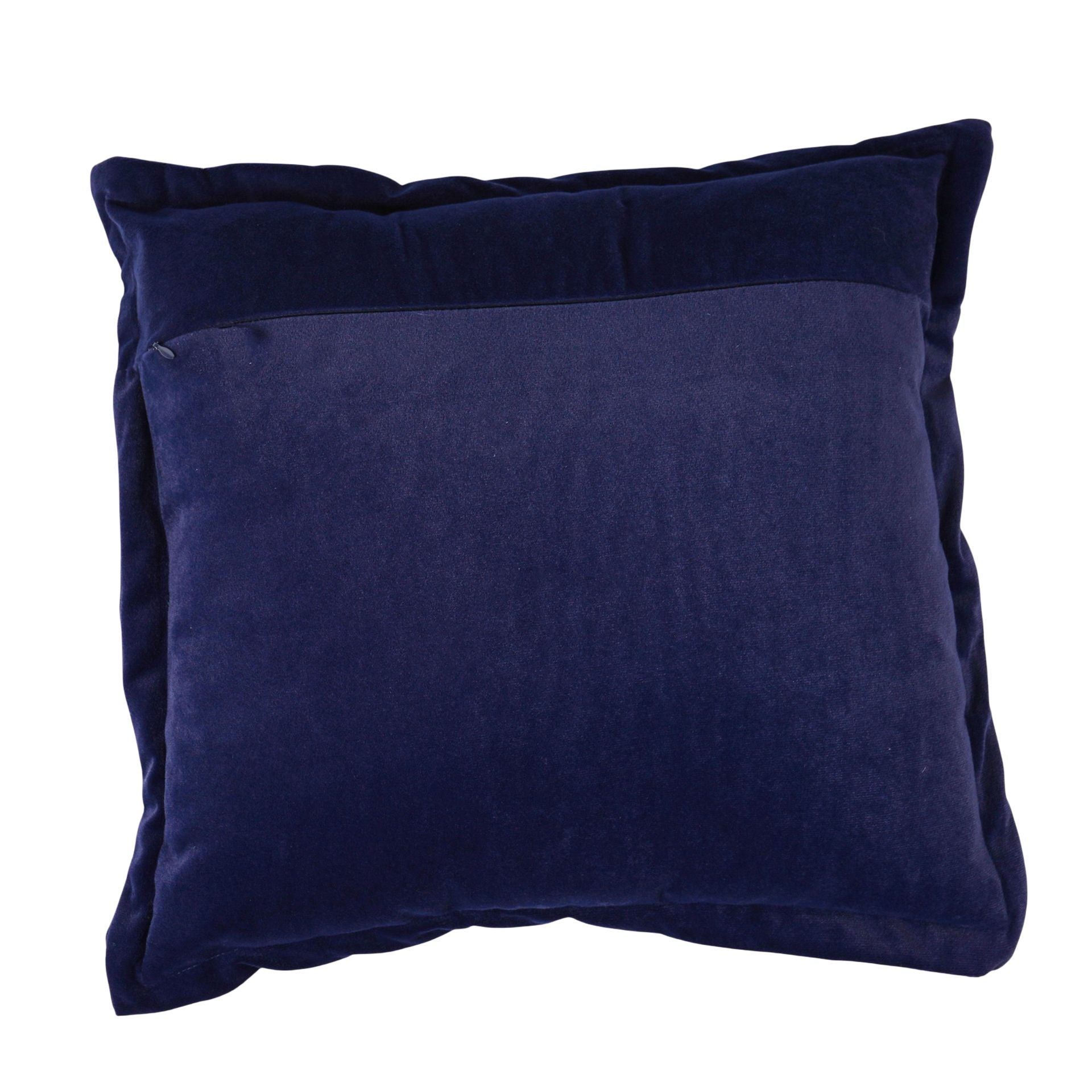 Harry Potter Alumni Velvet Cushion 43cm - Buckbeak