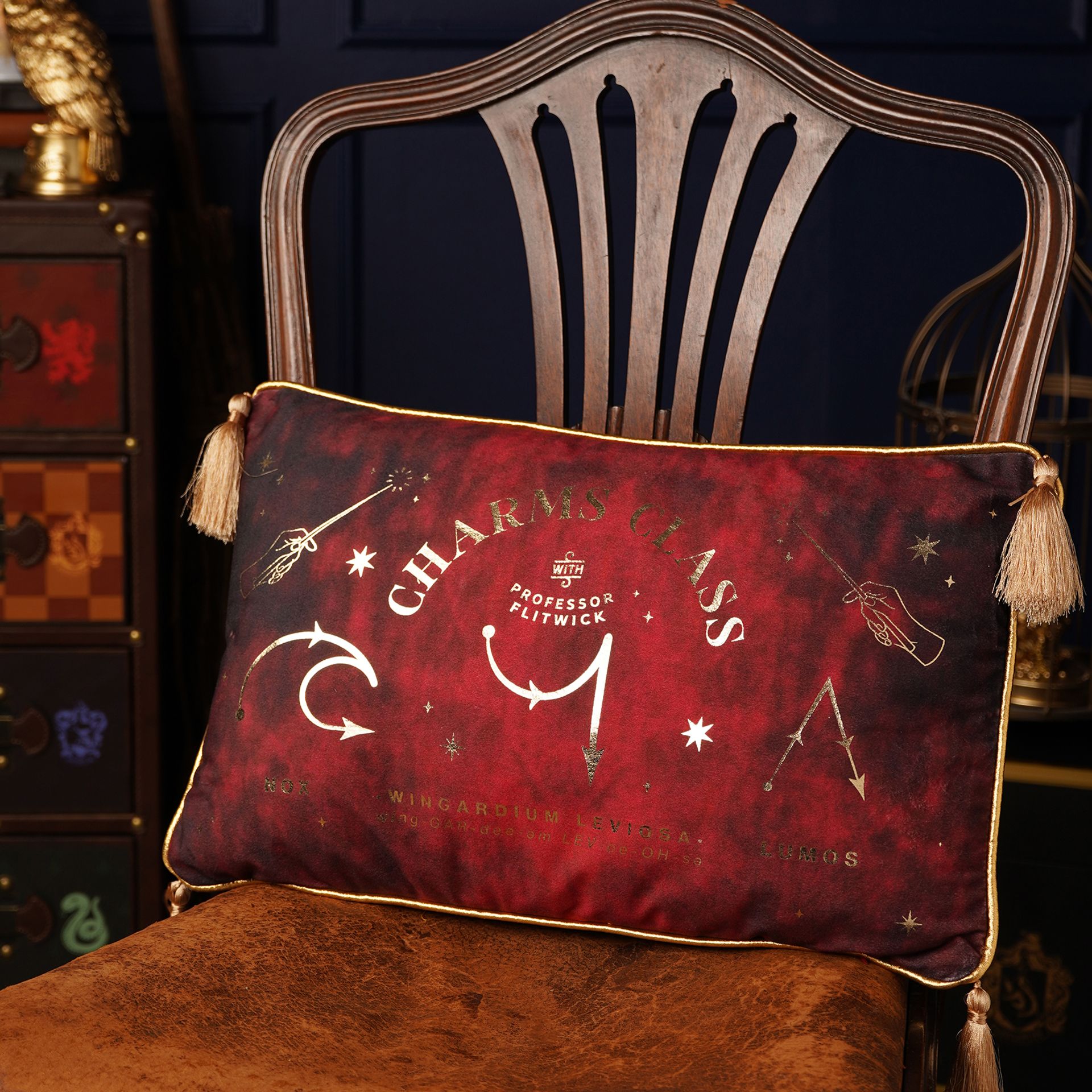 Harry Potter Alumni Velvet Cushion 50 x 30cm - Charms Class