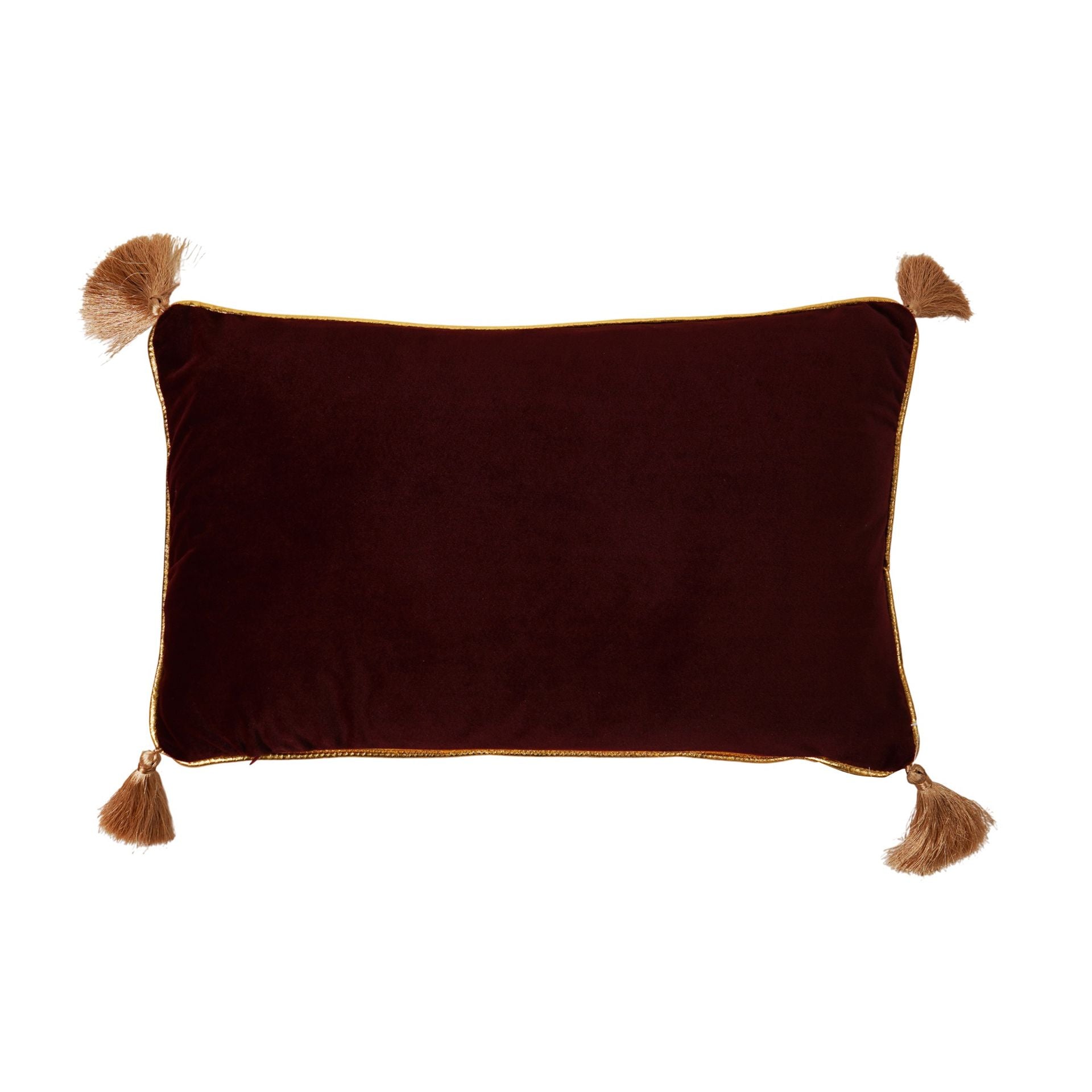 Harry Potter Alumni Velvet Cushion 50 x 30cm - Charms Class