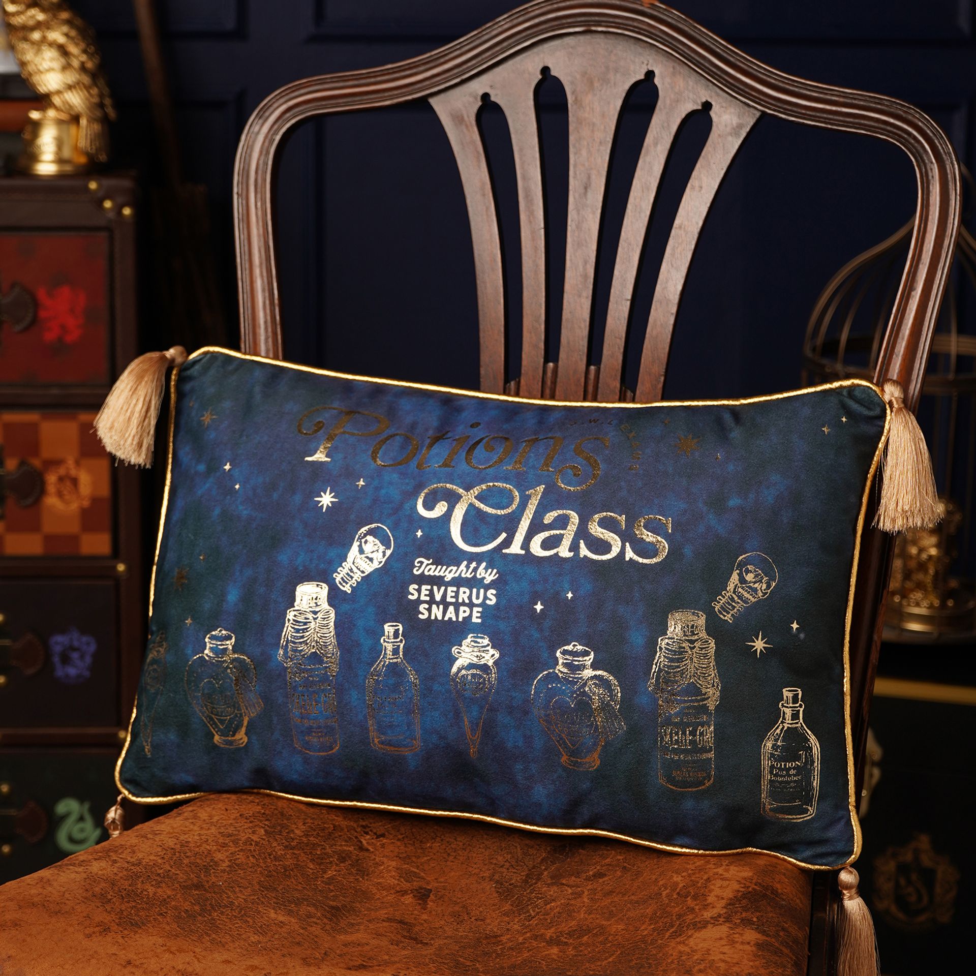 Harry Potter Alumni Velvet Cushion 50 x 30cm - Potions Class