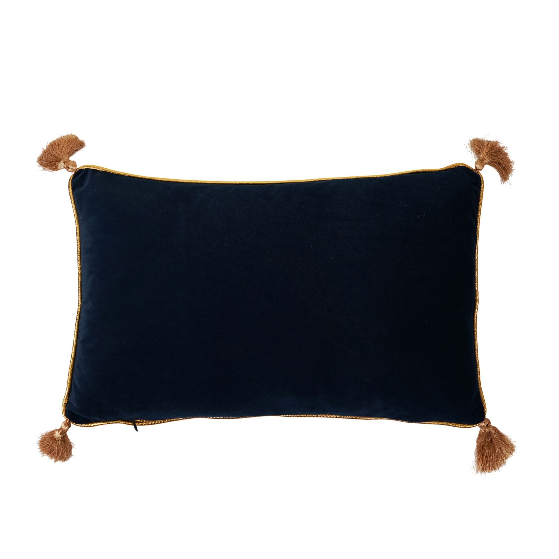 Harry Potter Alumni Velvet Cushion 50 x 30cm - Potions Class