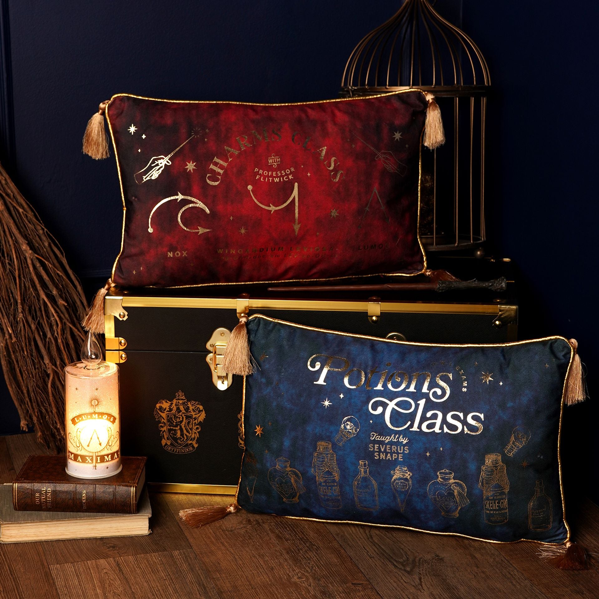 Harry Potter Alumni Velvet Cushion 50 x 30cm - Potions Class