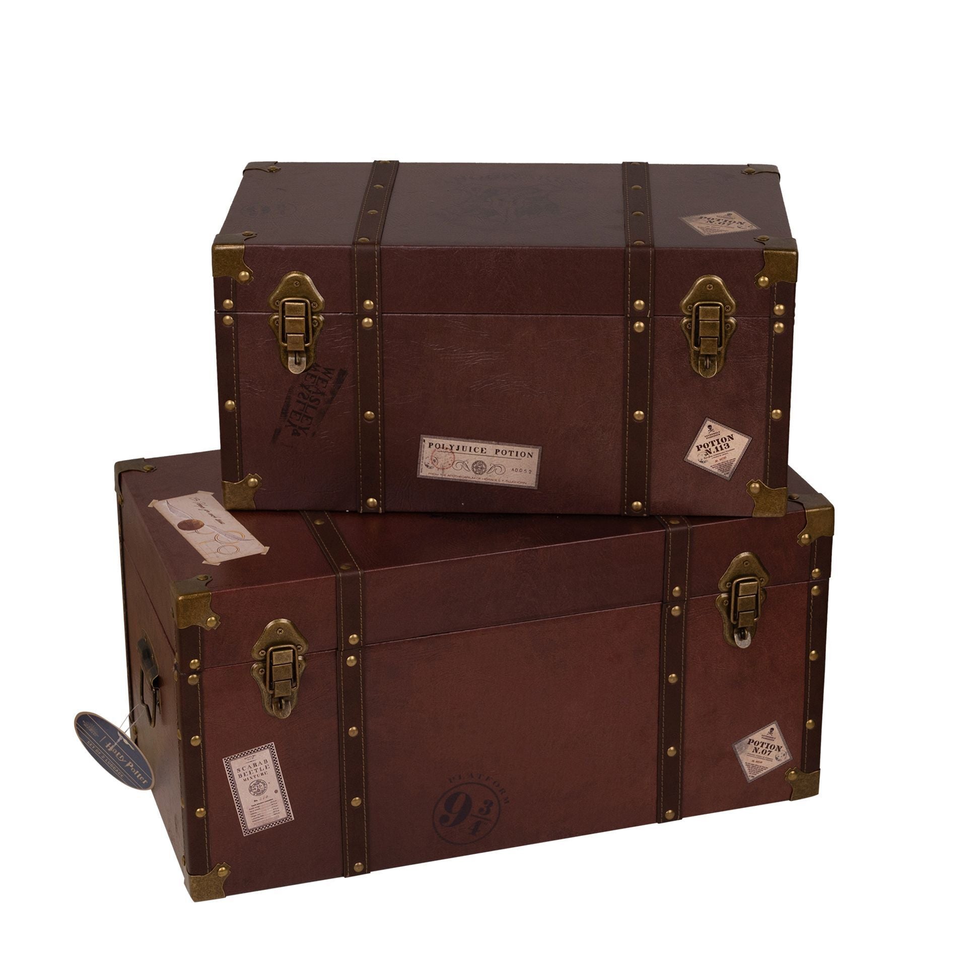 Warner Bros Harry Potter Alumni Large Trunk Set of 2