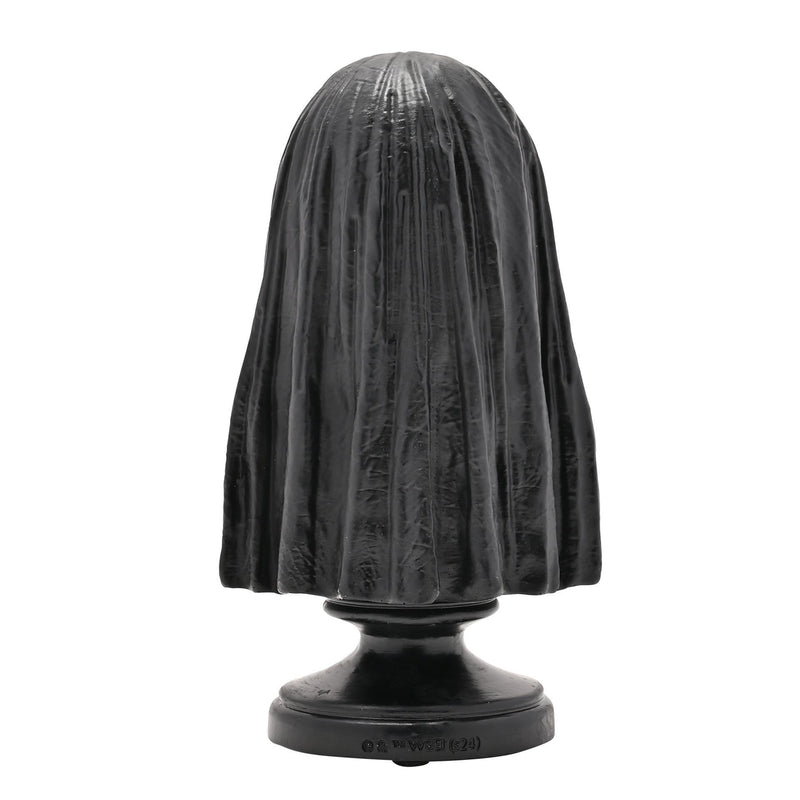 Warner Bros Harry Potter Dark Arts Bust Figurine - Death Eater